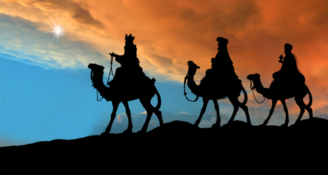 wise men carrying seo guides