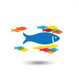 large fish influencing others to follow for influencer outreach services brighton